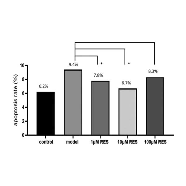 Graphical Abstract レスベラトロールは顆粒膜細胞における酸化ストレス誘導性アポトーシスを抑制し、卵巣環境を改善する