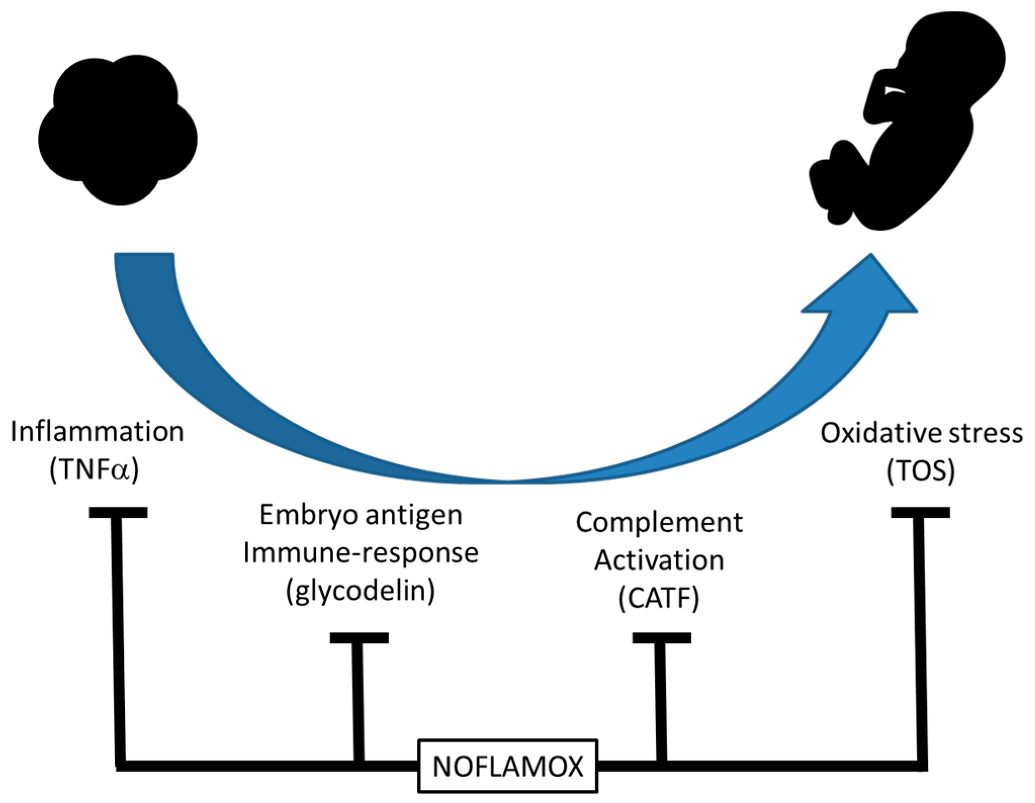 Graphical Abstract 4つの免疫学的バイオマーカー陽性患者における体外受精の結果に対するウコンベースのサプリメントの効果を評価するパイロット前向き研究